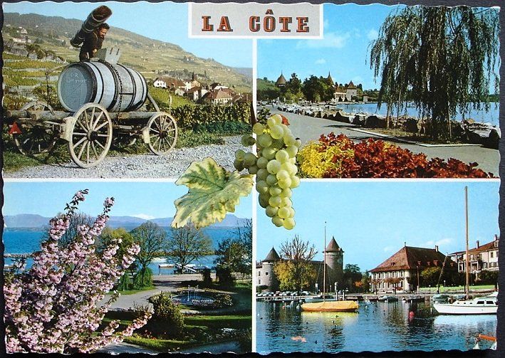 Cartoline postali: LA CÔTE Weinbau Weinlese – Usato da Jona venduto da philajona