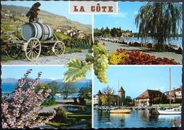 LA CÔTE Weinbau Weinlese