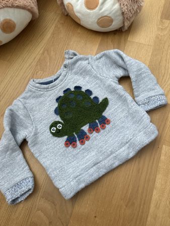 Baby-Sweatshirt mit Dinosaurier