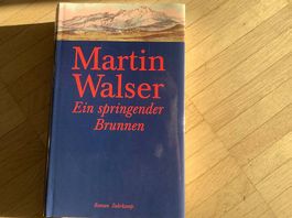 Martin Walser: Ein springender Brunnen, Roman