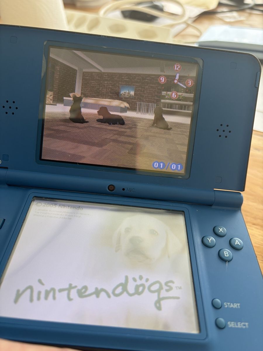 Nintendo Console: Nintendo DS XL 2008 – Usato da Echallens venduto da JAR69 3