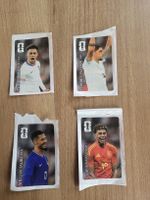 Panini WM 2026
