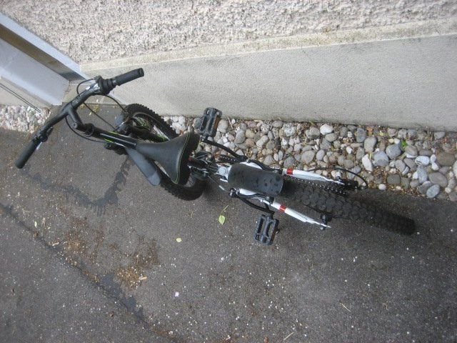 Biciclette: Kindervelo Gecko 2.0 / 20 Zoll – Usato da Winterthur venduto da pf02 3