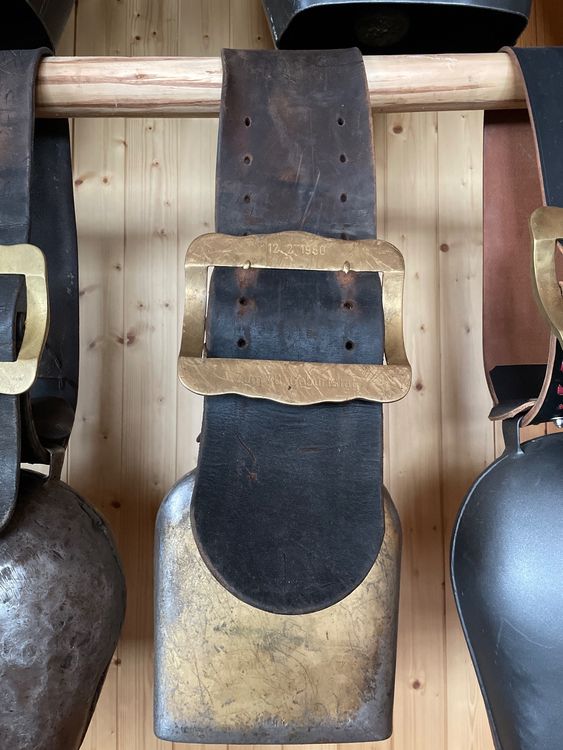 Herger Bisse Kaufen auf Ricardo