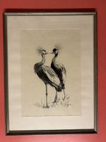 Schöne Zeichnung: Zwei Graukraniche im Rahmen, 56x46cm