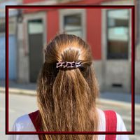 Animal painting :: Hairclip Haarspange