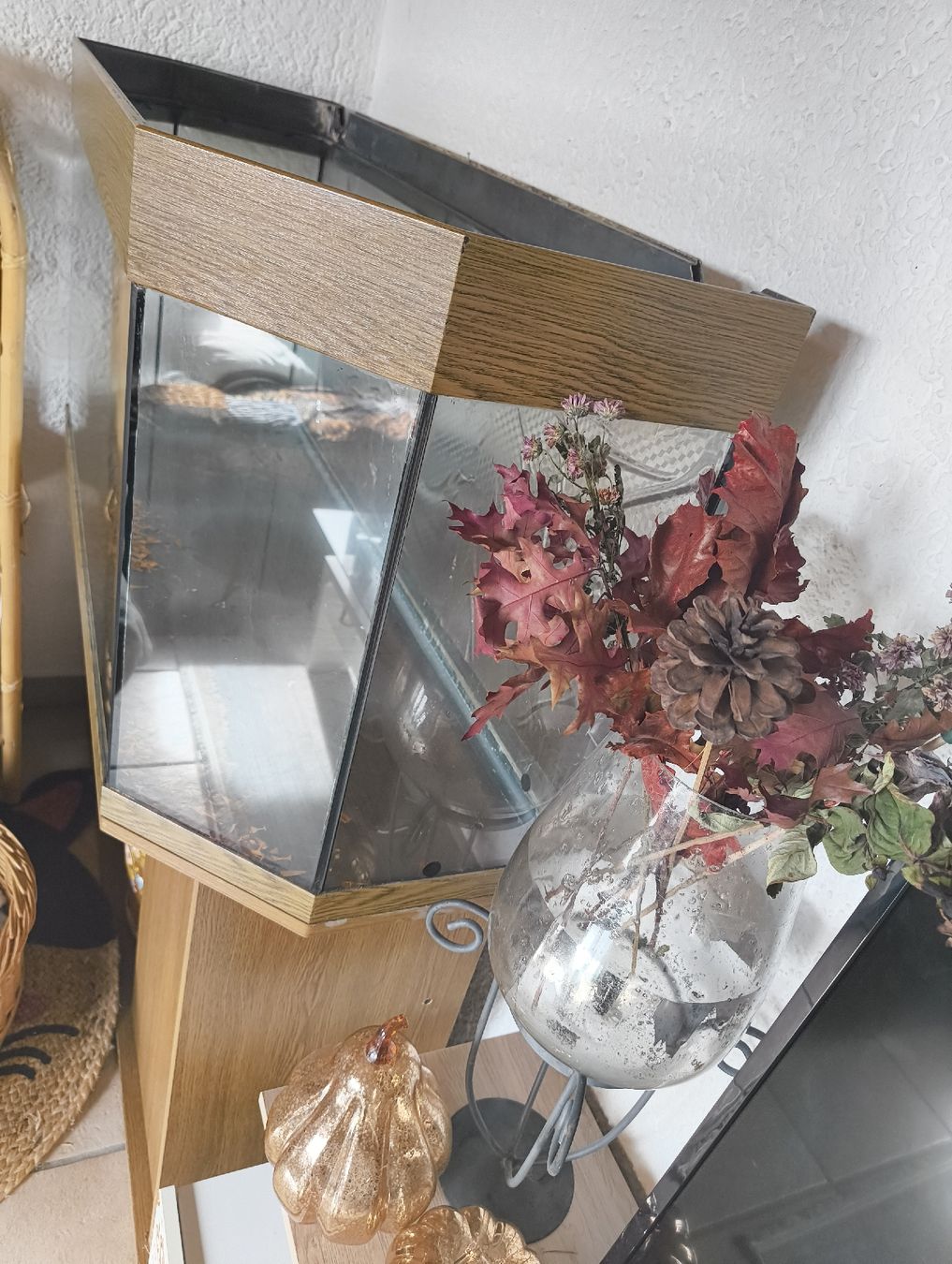 Juwel Acquari: Grand aquarium d'angle avec meuble intégré – Usato da Siselen BE venduto da car_79rz 2