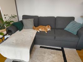 Couch Dunkelgrau (252x160)