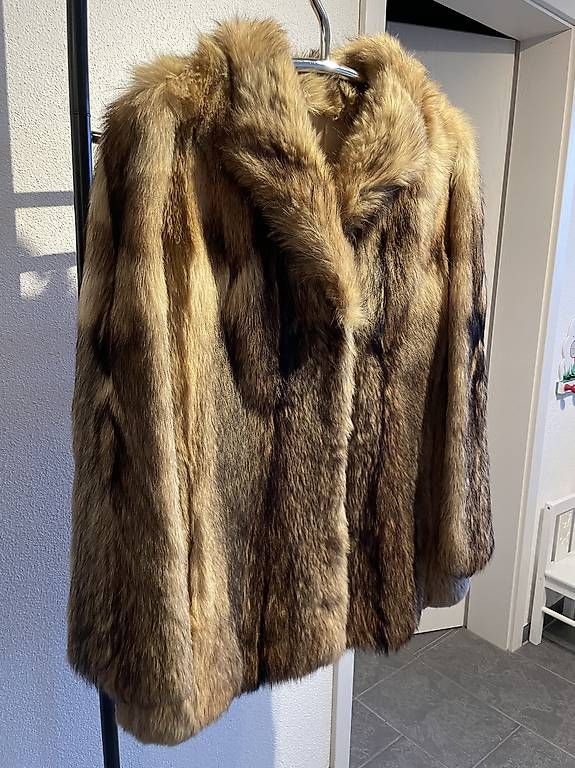 Vestes: Echt Gea Fuchs – D'occasion à Oensingen par KawasakiZ900RS 1