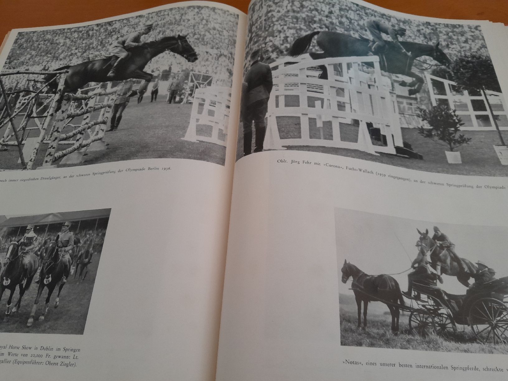 Libri: Buch  schweizer Pferde Buch 1944 – Usato da Oberglatt ZH venduto da juni02 6