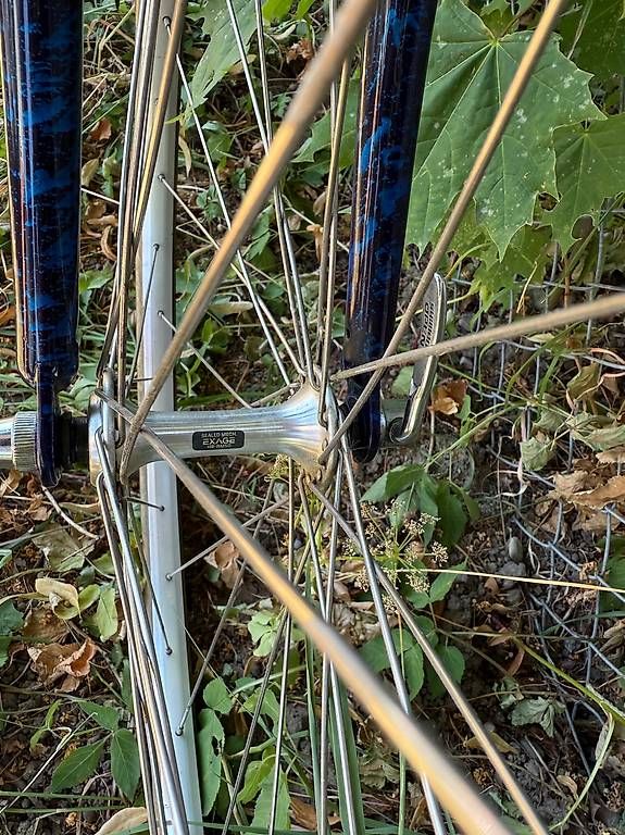 Biciclette: Coronado Allroad – Usato da Bern venduto da Reblo 3