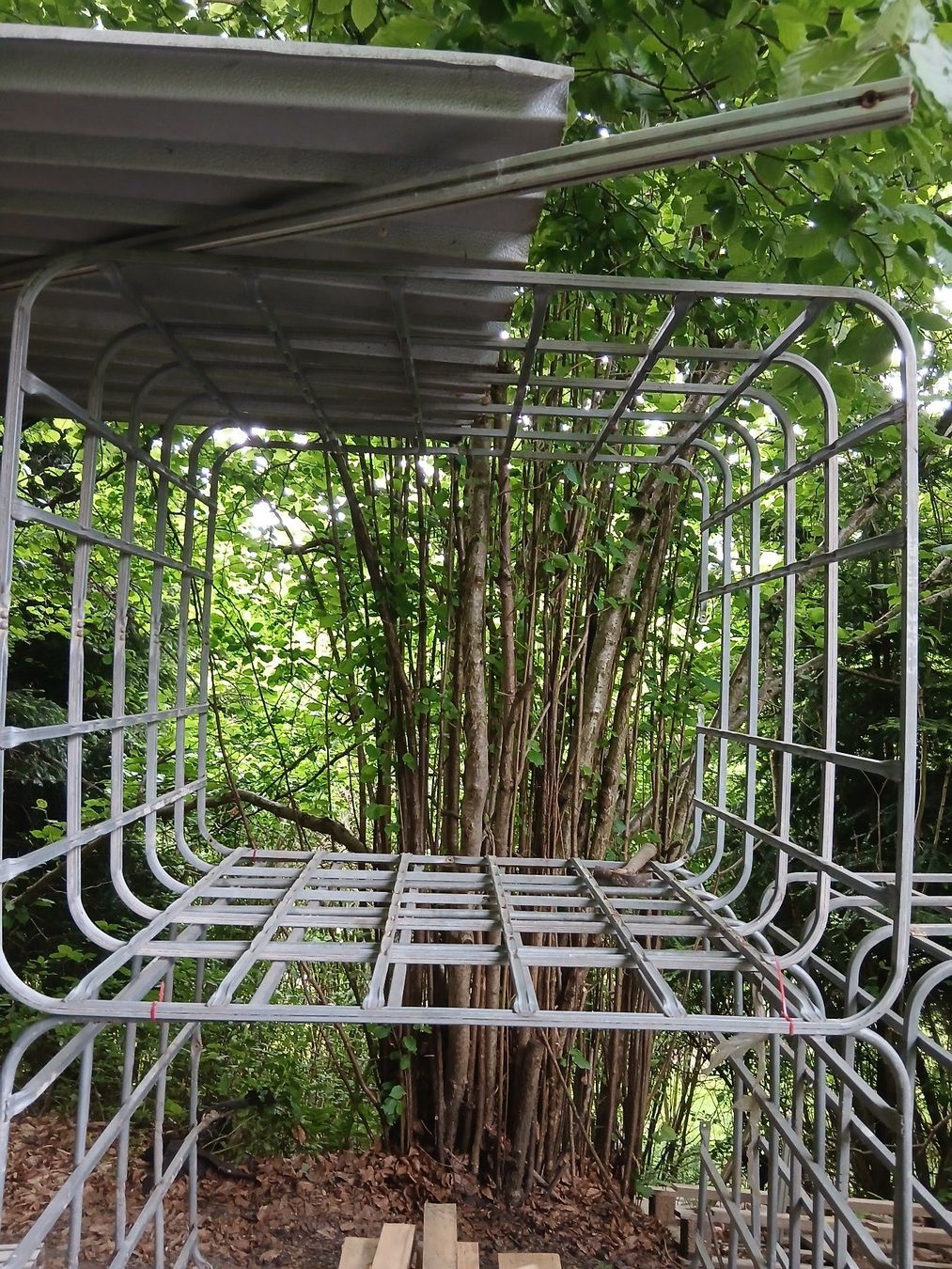 Griglie e Inferriate: IBC Gitter – Usato da Emmenbrücke venduto da papamo06 1