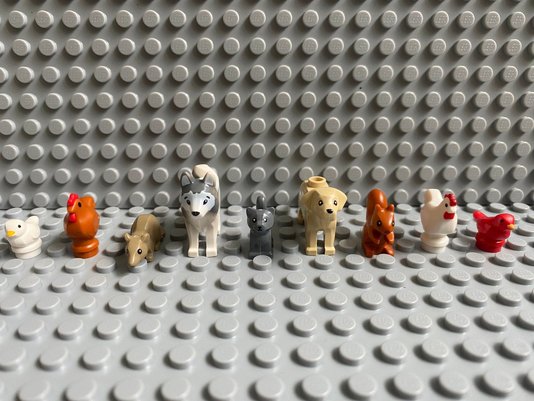 Lego Kit di costruzioni: Lego Tiere - 9 Stück – Nuovo (secondo la descrizione) da Horw venduto da G39517sG