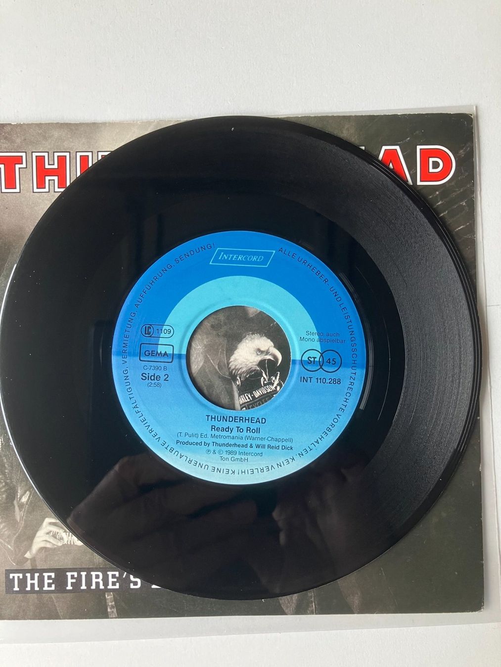 Dischi in vinile: Thunderhead – Usato da Aarwangen venduto da Jukebox3 7