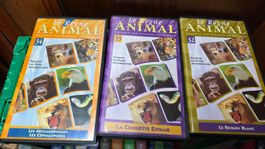 Animal VHS , collection
