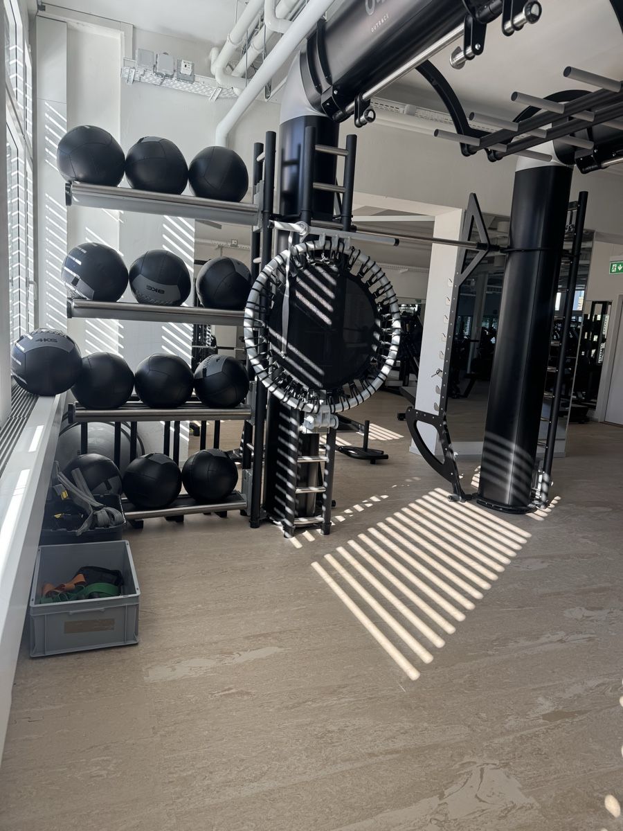 Technogym Hometrainer: Technogym OUTRACE R2-500 AVANTGARDE Functional Tower  – Usato da Wallisellen venduto da witzigs 4
