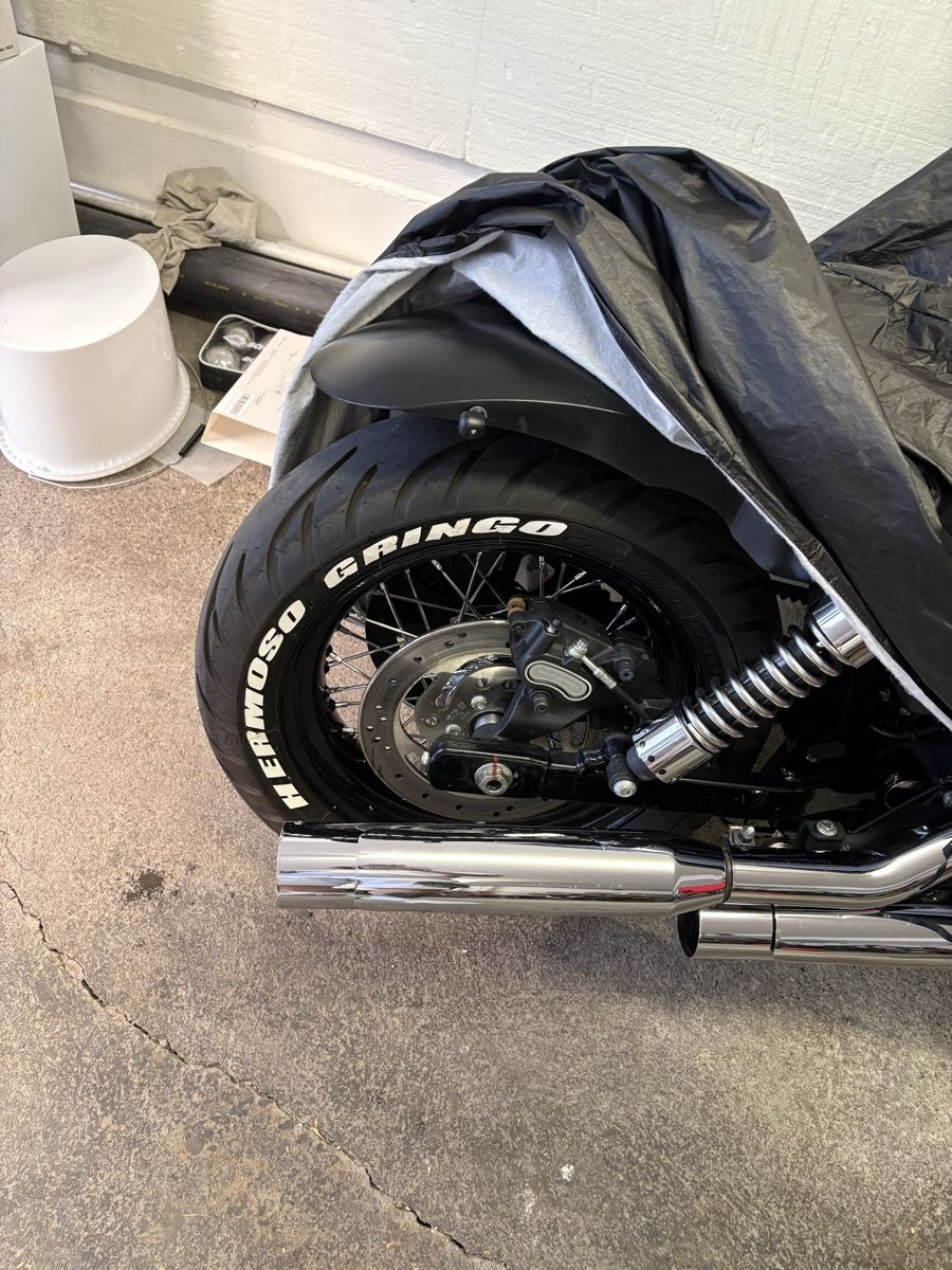 Harley-Davidson Chopper: Harley Davidson FXDB – Gebraucht aus ST. GALLEN von patrickmartin 5