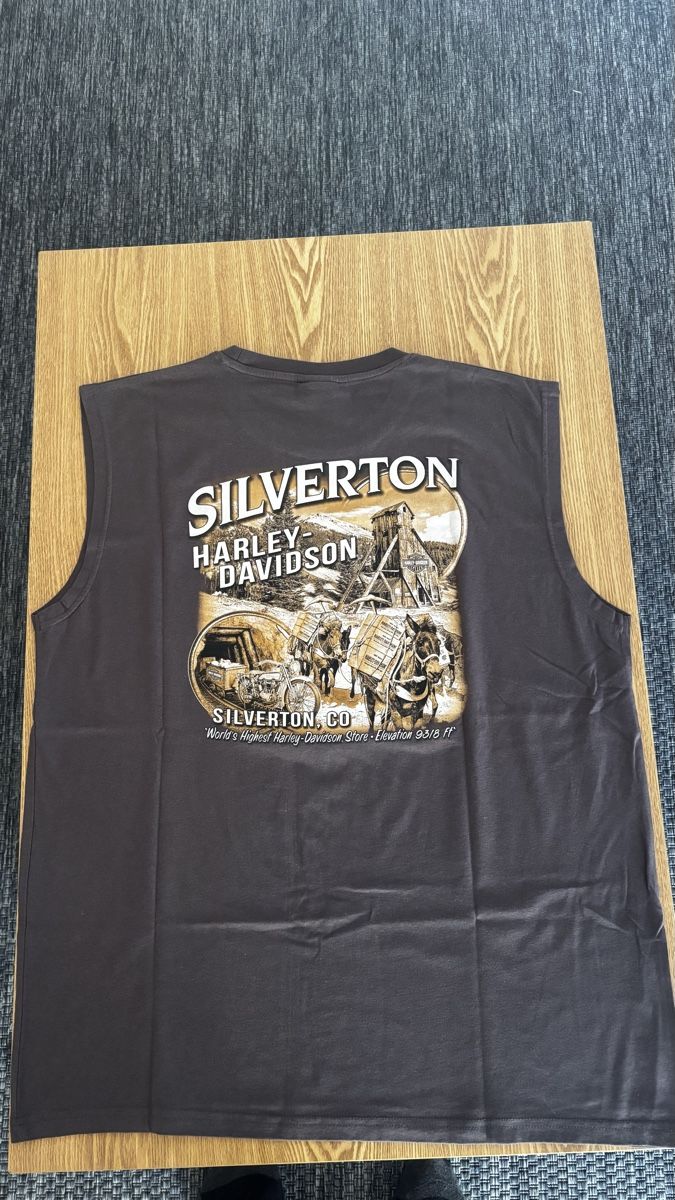 Harley-Davidson T-Shirts: Harley-Davidson ärmelloses Shirt  – Neu (gemäss Beschreibung) aus Rheinfelden von Yann686 1