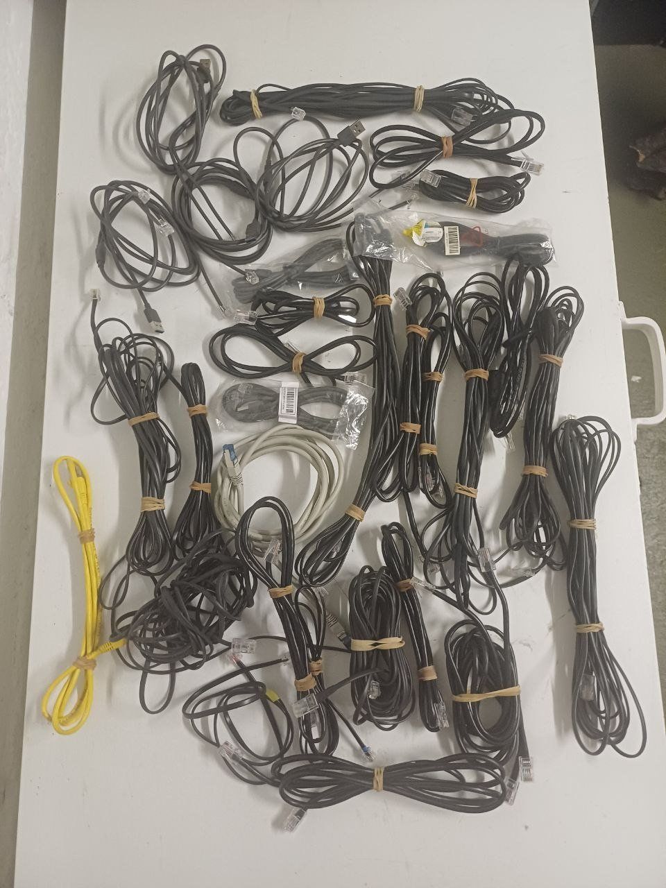 Cavi: Netzwerkkabel, 30 Stück. – Usato da Bern venduto da Yunkom 1