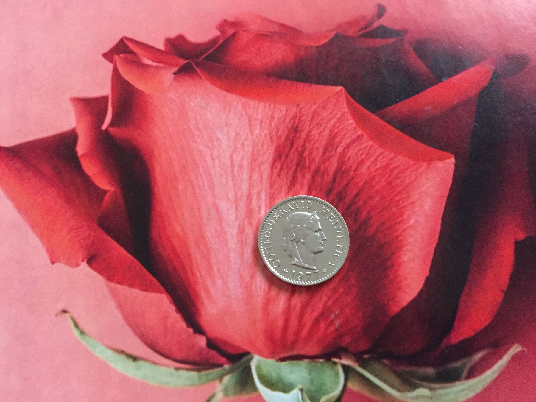 Tutti le monete: 5 Rappen 1977 vz – Usato da Elsau venduto da herbybay 3