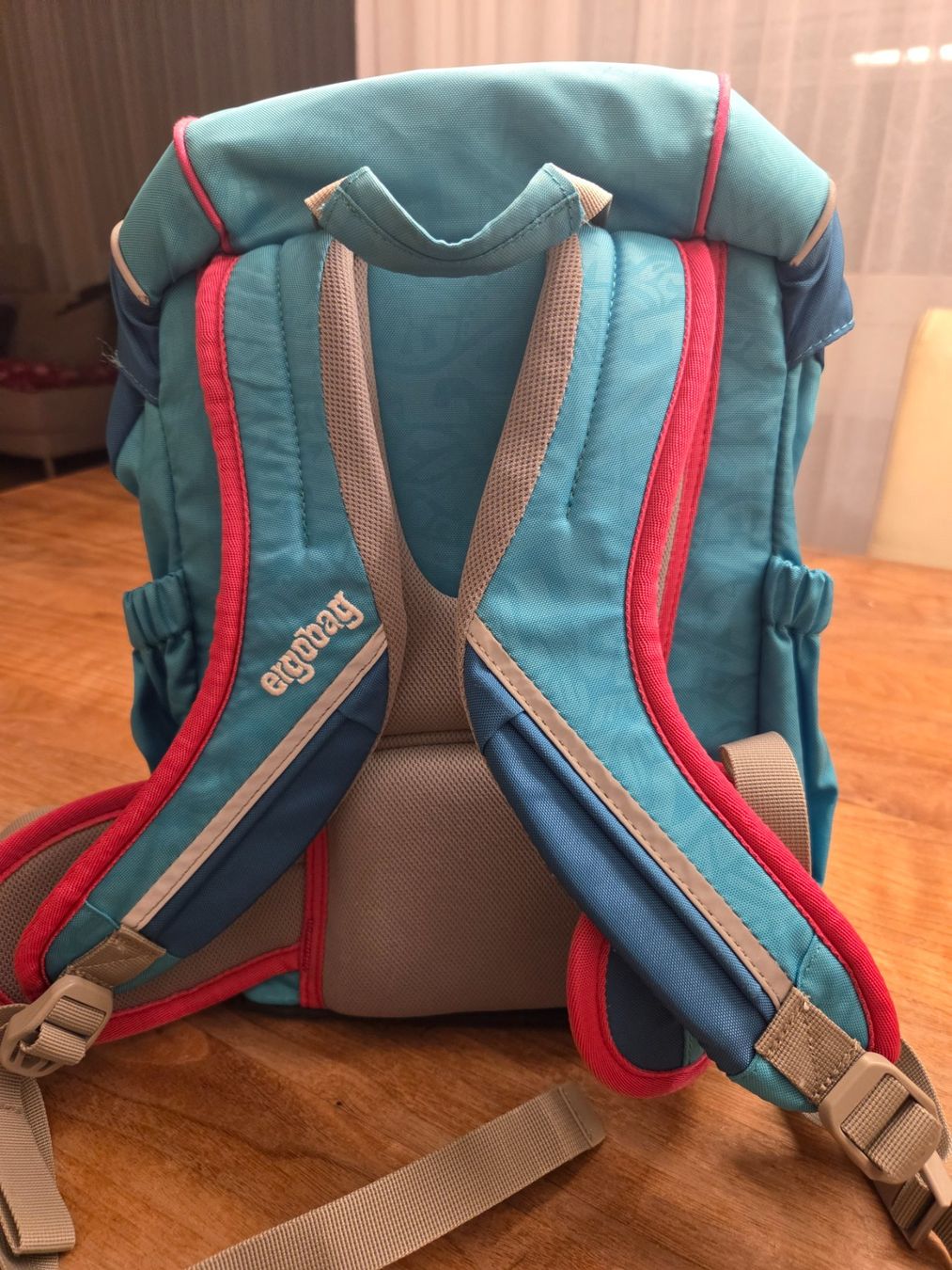 Ergobag Borse & Zaini: Ergobag Rucksack mit Schildkröte, Top Zustand! – Usato da beromünster venduto da marsa123 1