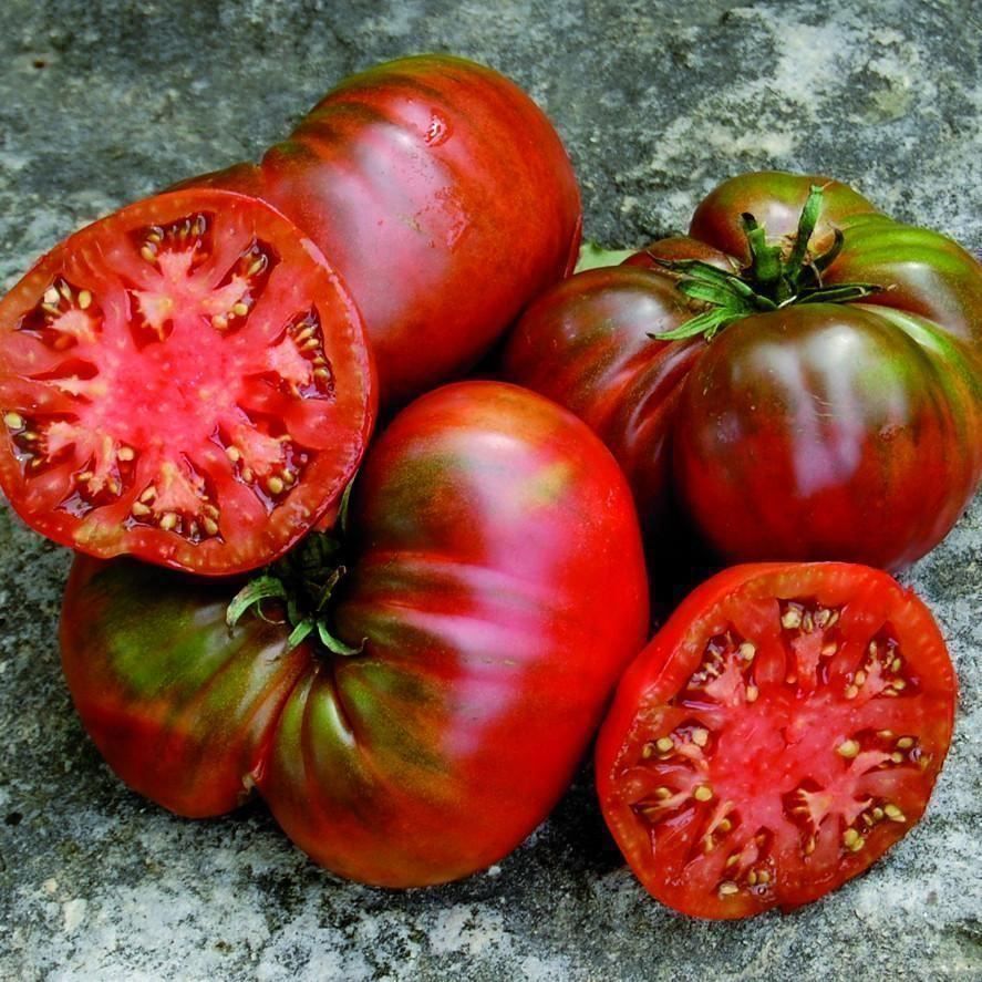 Piante & sementi: 50 Samen TOMATE BLACK RUSSIAN Alte Sorte – Nuovo (secondo la descrizione) da Ehrendingen venduto da VerveinaSamen 2