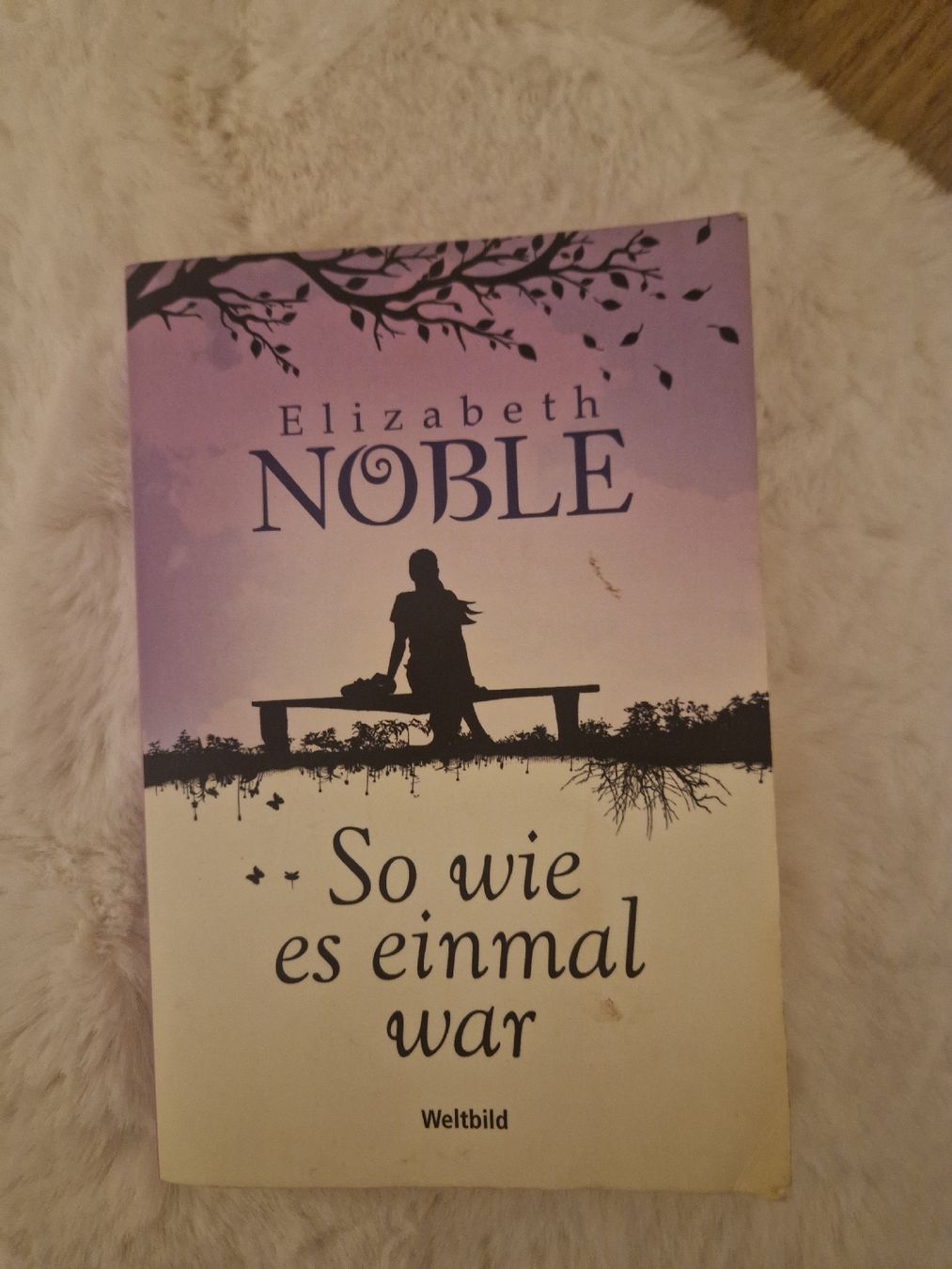 Libri: Elizabeth Noble: So wie es einmal war – Usato da Benken venduto da Carmen_9