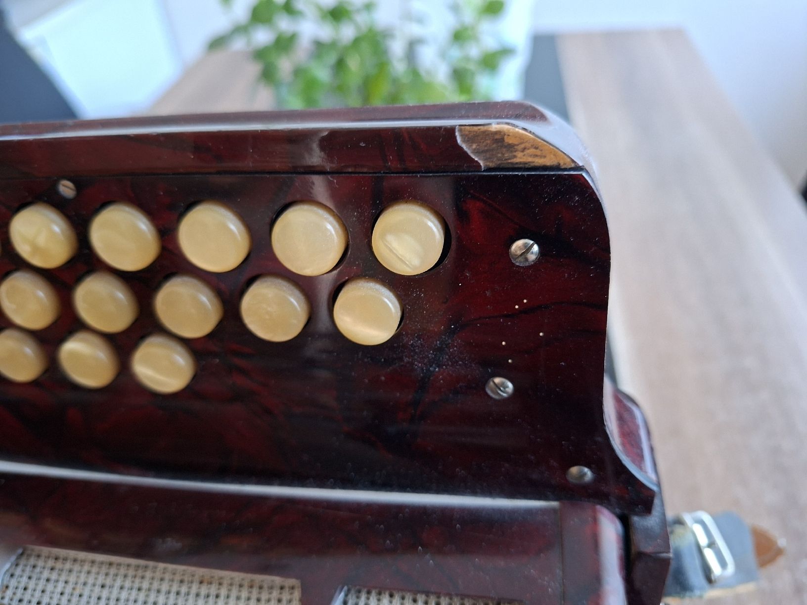Strumenti musicali: Heinz Handorgel norma III – Usato da WINTERTHUR venduto da MAMI210 1