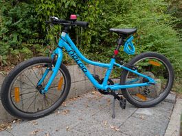 Kindervelo Naloo Chameleon 20 Zoll
