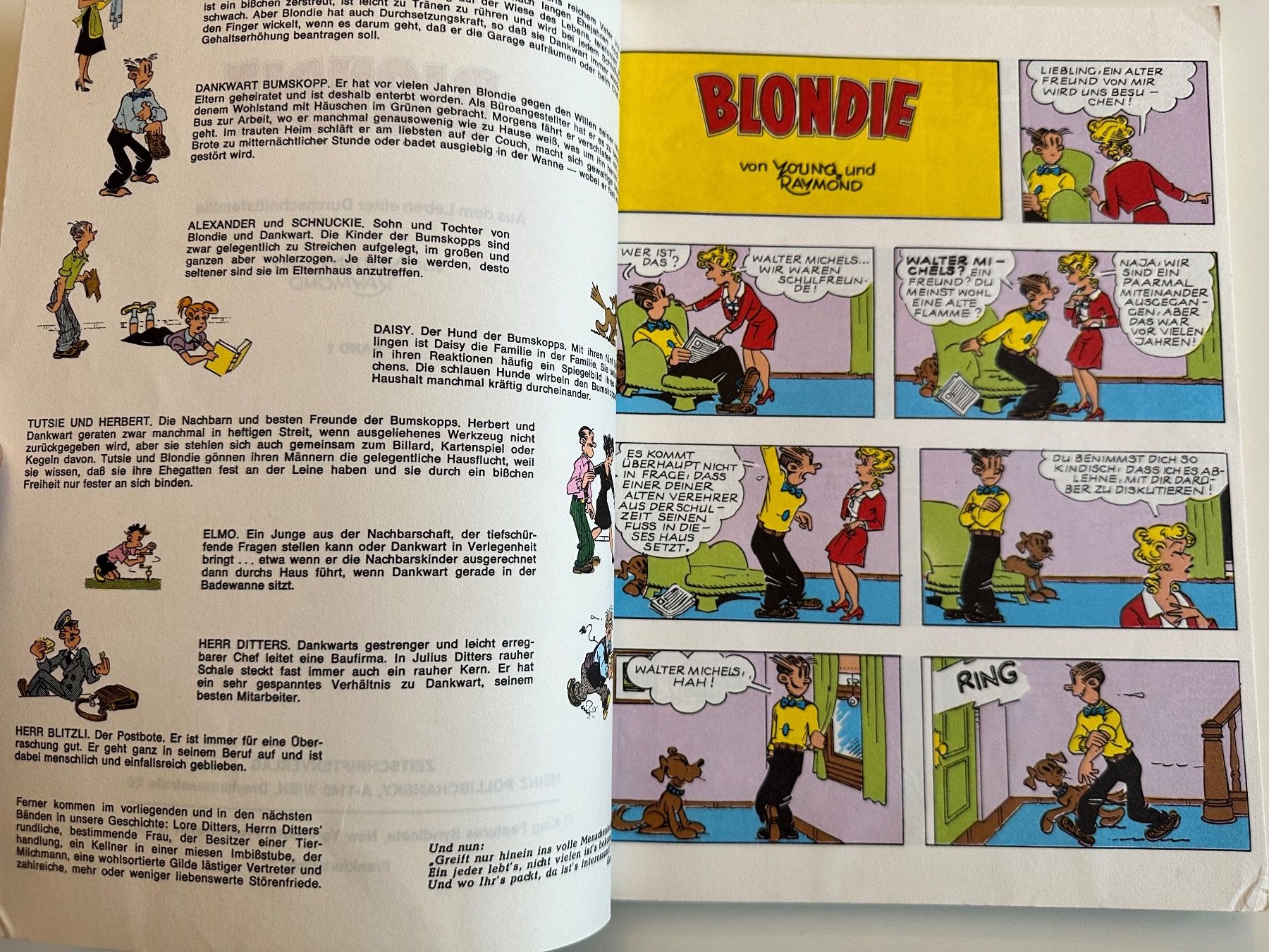Fumetti: BLONDIE SAMMELBAND – Usato da Münsingen venduto da Ganjam 3