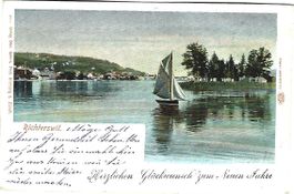 Ansichtskarte Richterswil gelaufen 1902 gebraucht