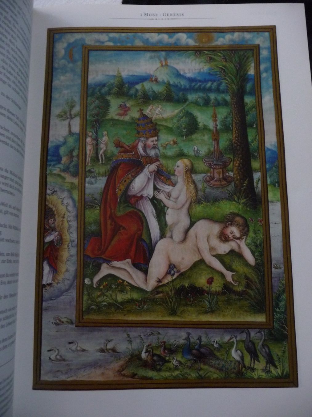 Libri: Wiener Bilderbibel – Nuovo (secondo la descrizione) da Diegten venduto da Jnaef