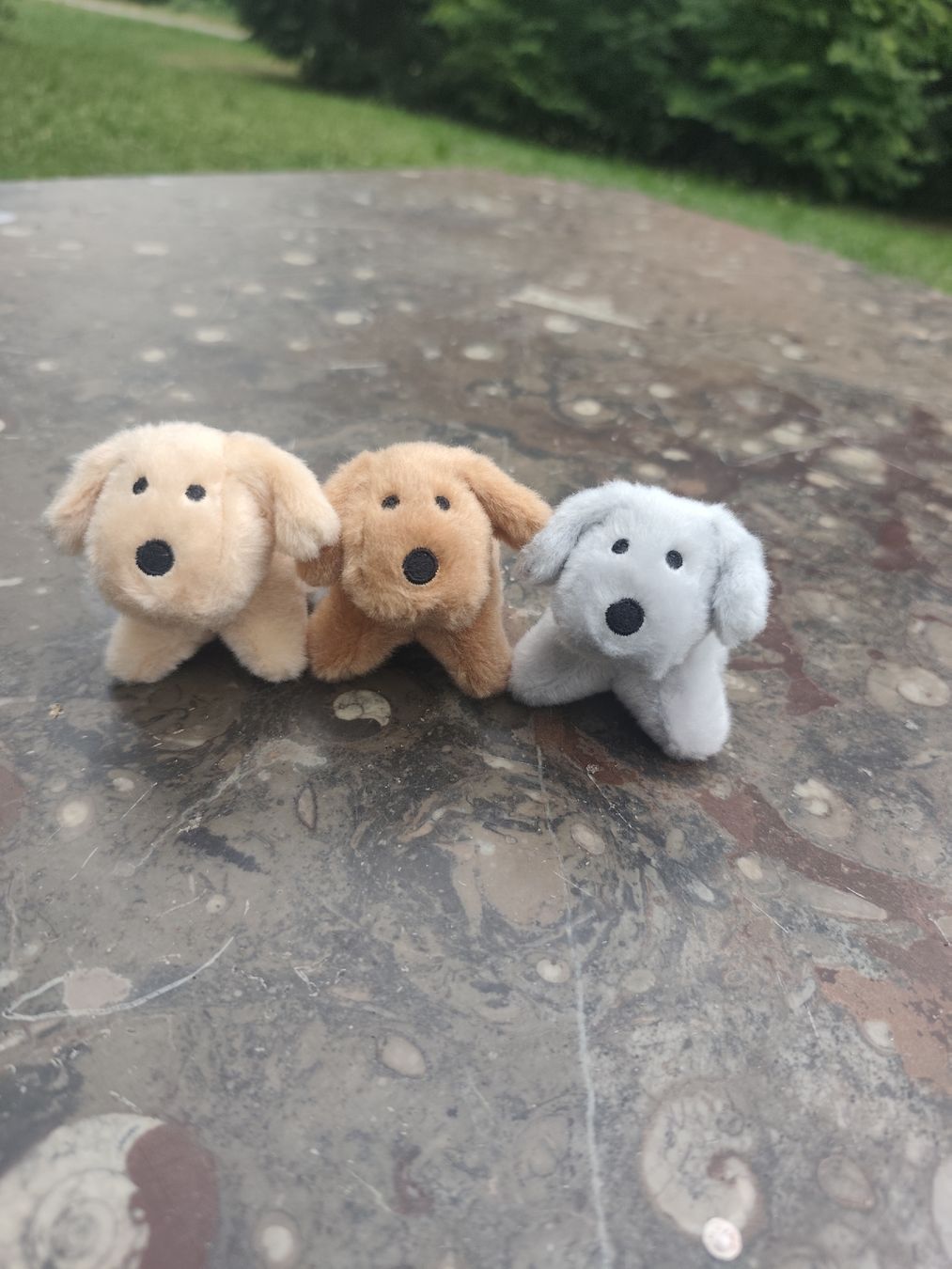 Giocattoli: Mutterhund mit 3 Baby Welpen Plüschtier  – Usato da Wald ZH venduto da Enyafay 4