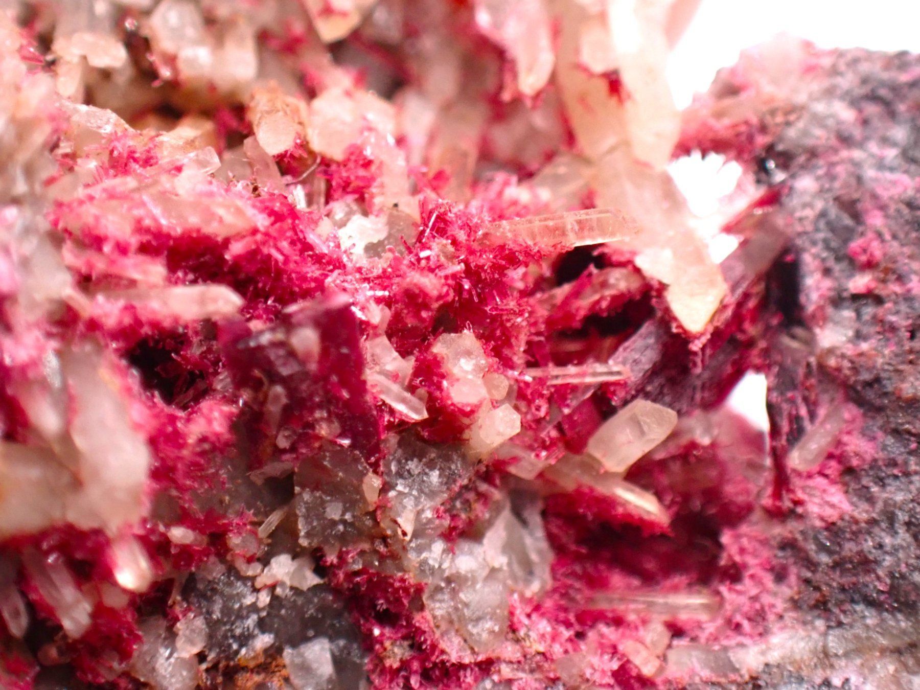 Minerali & Pietre curative: Erythrite, Drâa-Tafilalet Region, Morocco – Usato da Figino venduto da minshop 6