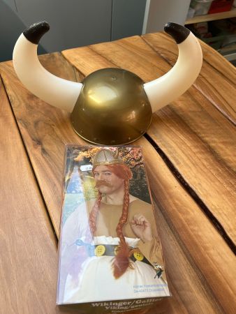Perruque et casque Obélix