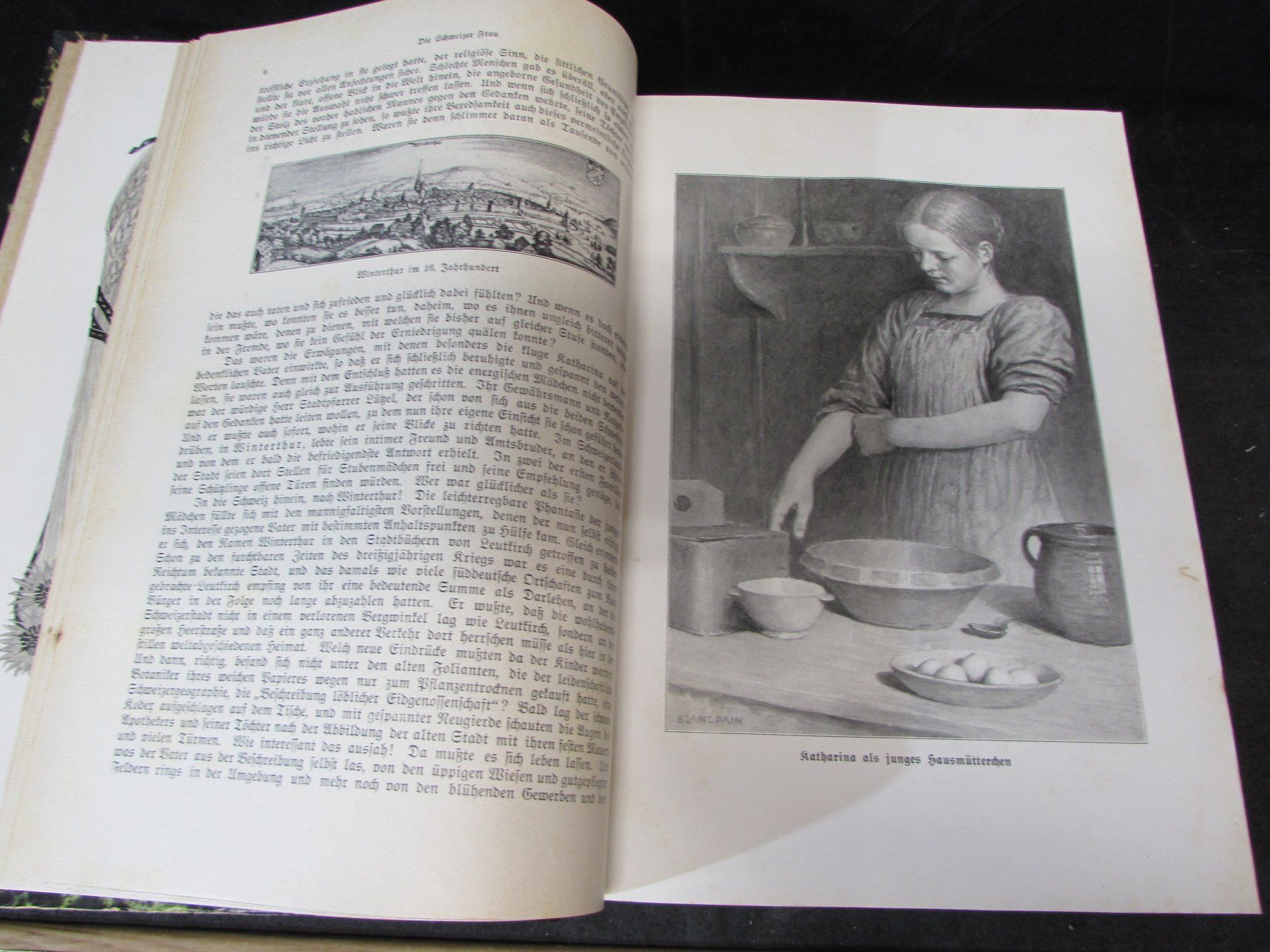 Libri: Die Schweizer Frau, Zahn 1900 – Usato da Walchwil venduto da Shells1 2