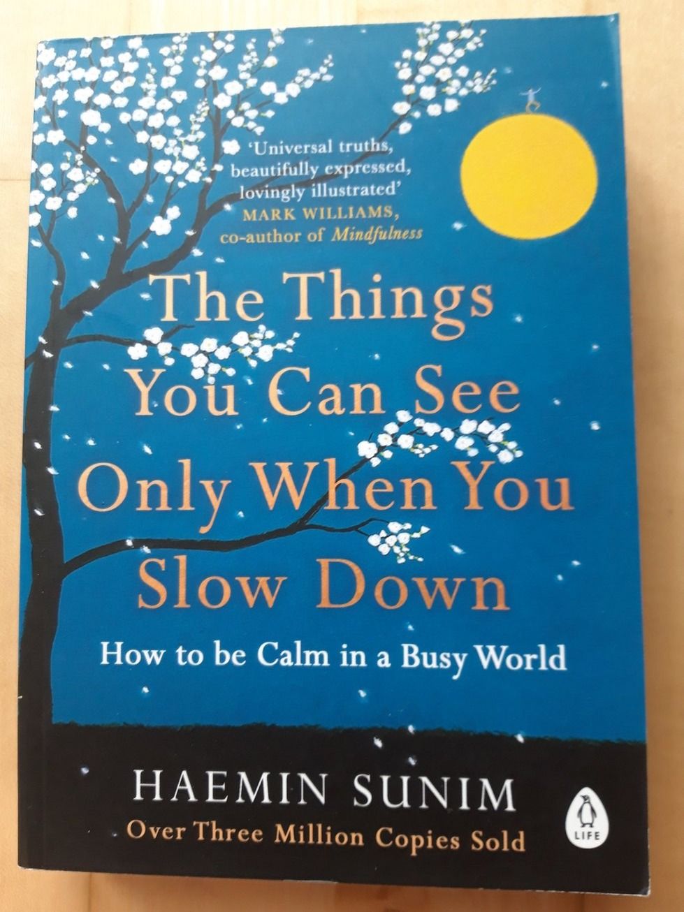 Libri: Buch: The Things You can see only when your slow down – Nuovo (secondo la descrizione) da Liebefeld venduto da Fireball85