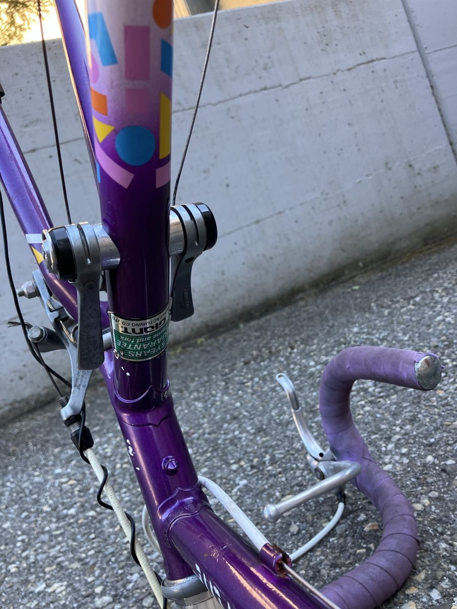 Giant Pezzi di ricambio: Rennvelo Rahmen Giant Peloton Lite – Difettoso da Reigoldswil venduto da GNVeluxboost 2