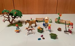Playmobil Reiterhof-Set mit Tieren und Zubehör