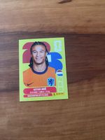 Panini NED 7
