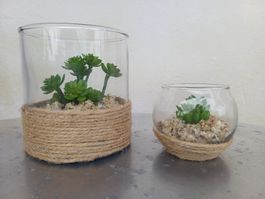 neu: Glas- Set mit Kunstpflanzen, moderne Deko 🌱