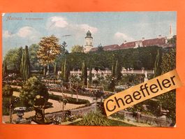 1911 Mainau.  Rosengarten