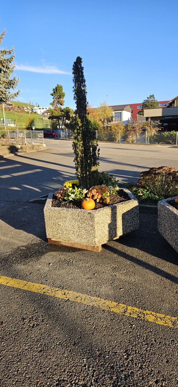 Blumentöpfe: Blumentopf bepflanzt – Gebraucht aus Ruswil von kurmann-technik