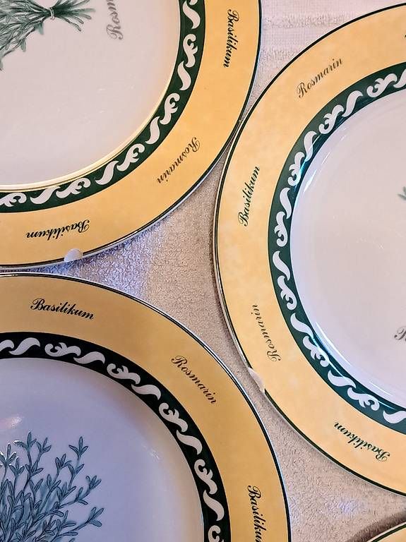 Piatti: Teller La Cucina Kräuter-Collection – Usato da Hettiswil venduto da san_kf5h 4