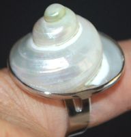 Ring L-5850 – Perlmutter Muschel Grössenverstellbar