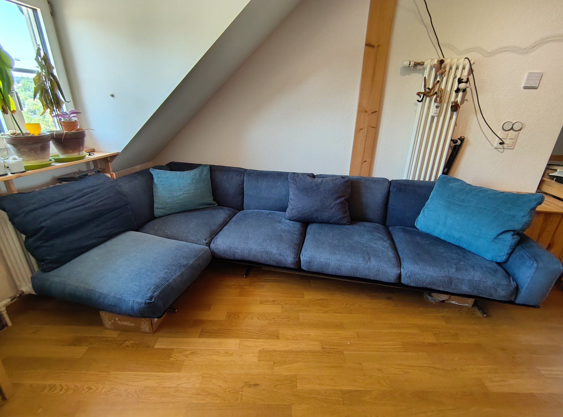 Flexform Sofas: Flexform Soft Dream Designer-Sofa – Gebraucht aus Bern von bra_l8xk 1