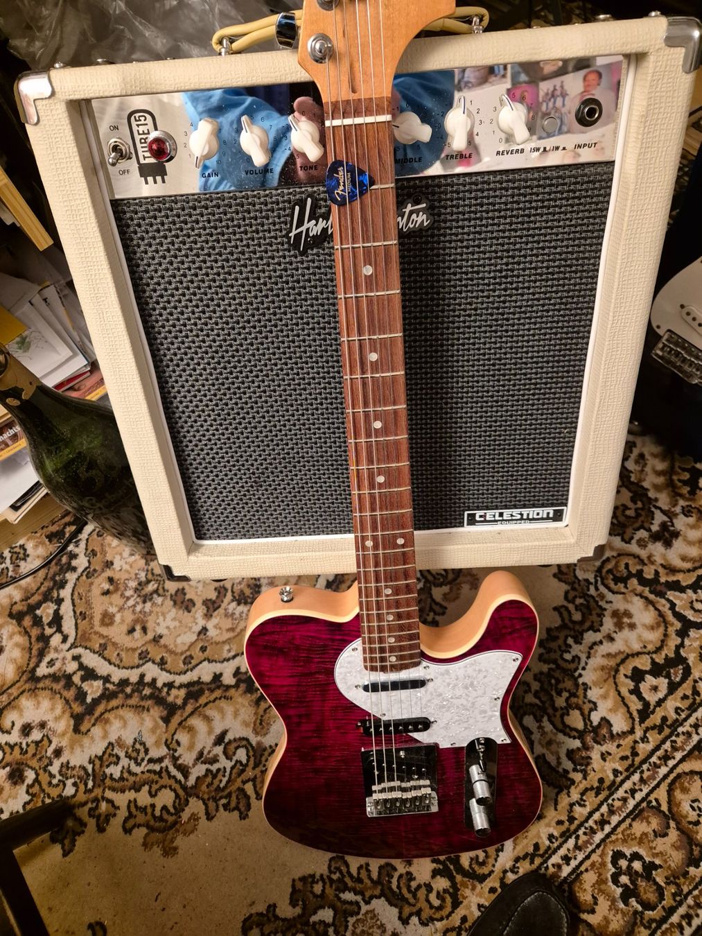Strumenti musicali: Squire by Fender – Nuovo (secondo la descrizione) da neuhausen venduto da chamcor