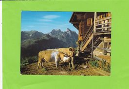 Saanenland-Rittmal, Gummfluh