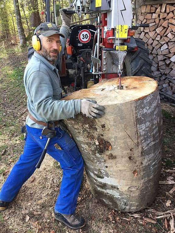 Articoli in legno: Brennholz aus dem eigenen Wald – Nuovo e nell'imballaggio originale da Zwieselberg venduto da Windis 2