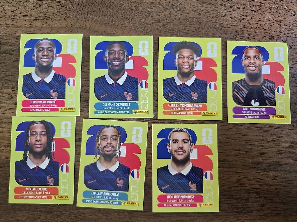 Cartes à collectionner: NEU panini 2026  – D'occasion à Moosseedorf par mag_k9m5